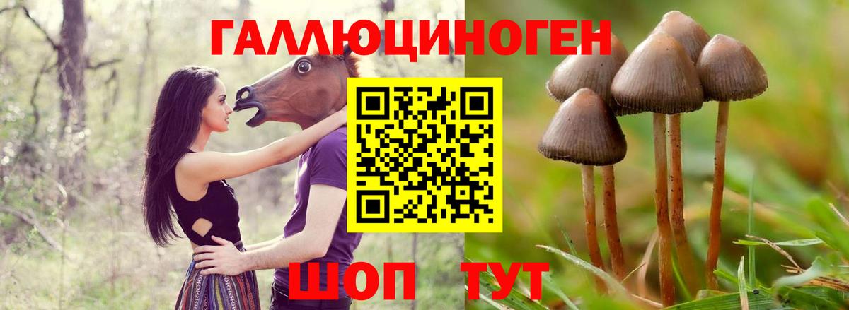 Галлюциногенные грибы мицелий Кыштым